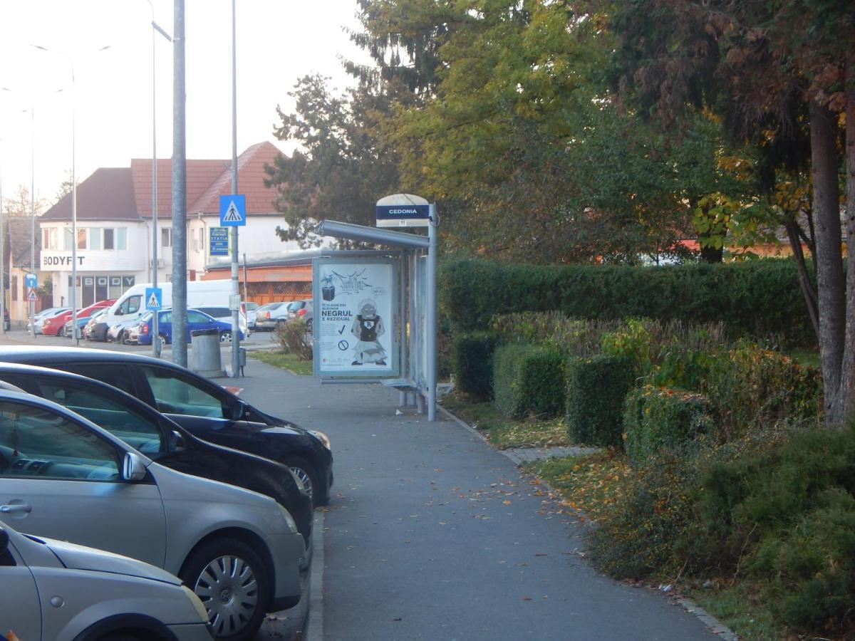 Sibiu Home 1 Екстериор снимка